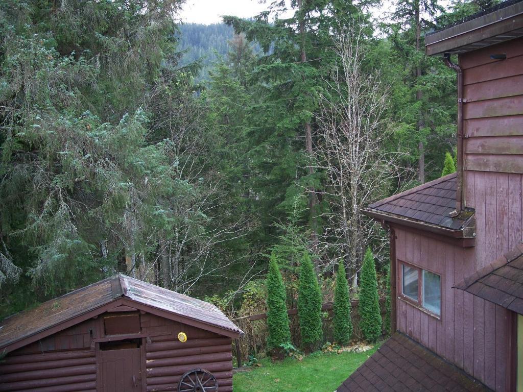 Tall Trees Bed & Breakfast Prince Rupert Habitación foto